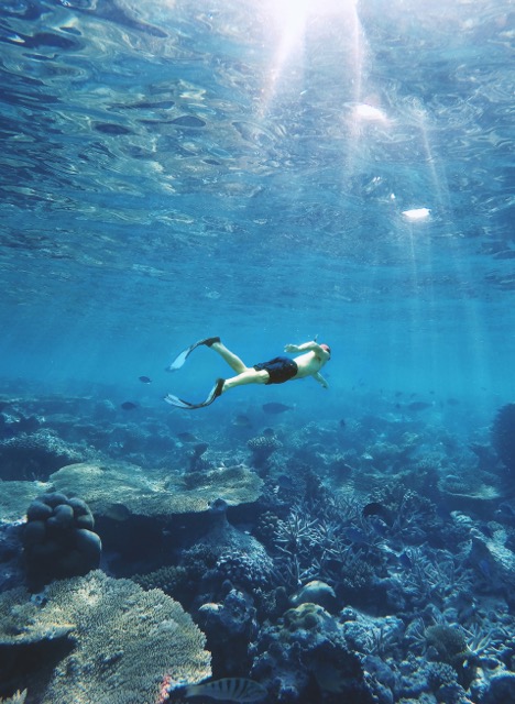 Snorkeling guidato a Pittulongu